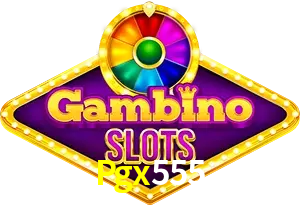 Pgx555.Com